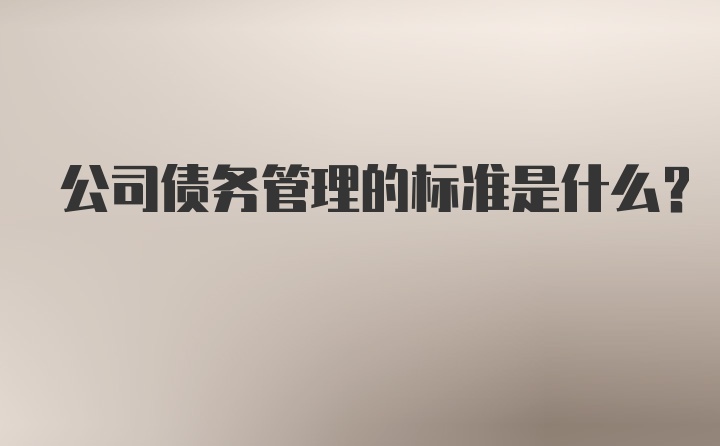 公司债务管理的标准是什么？