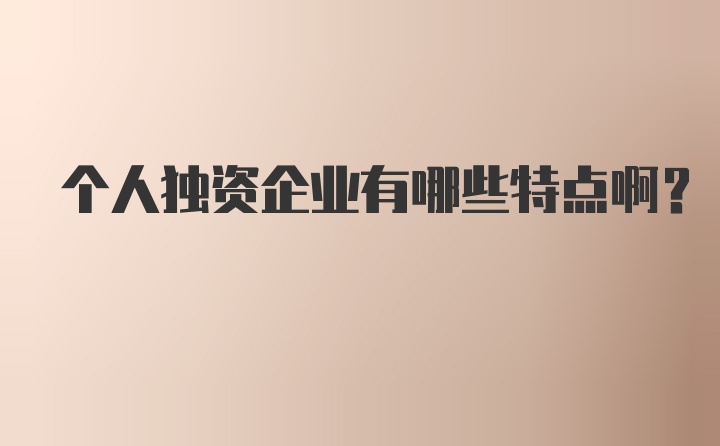 个人独资企业有哪些特点啊？