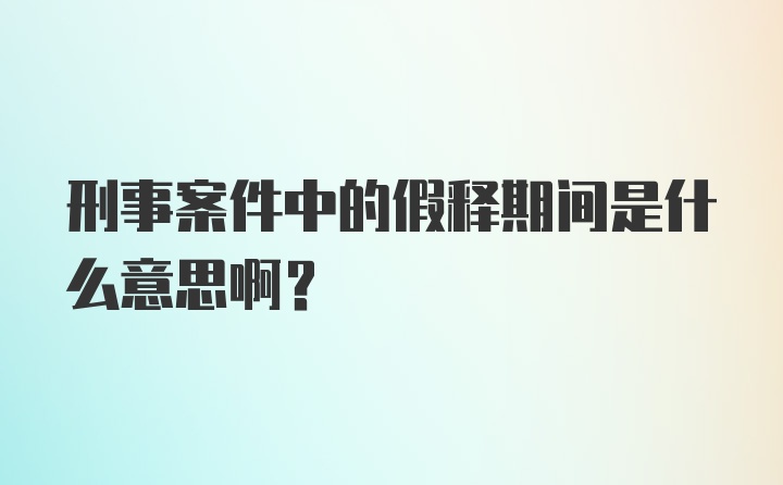 刑事案件中的假释期间是什么意思啊？