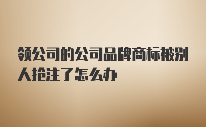 领公司的公司品牌商标被别人抢注了怎么办