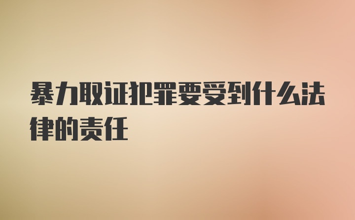 暴力取证犯罪要受到什么法律的责任