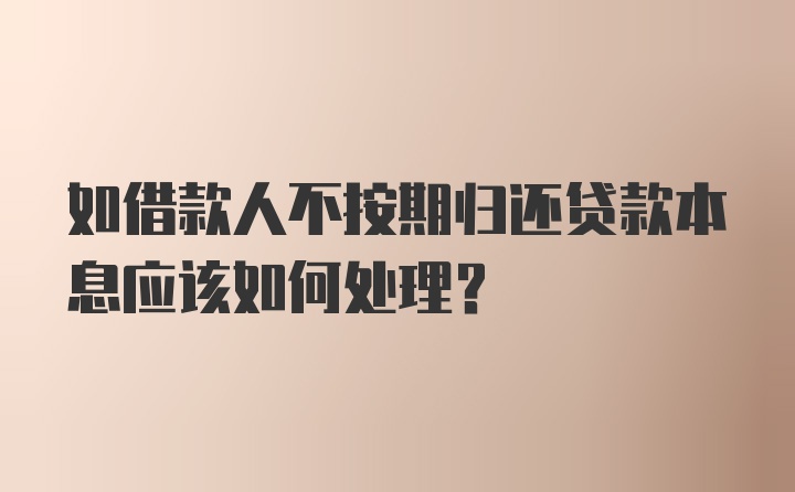 如借款人不按期归还贷款本息应该如何处理？