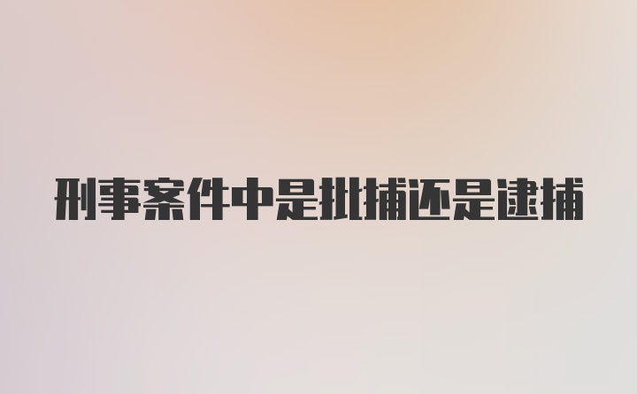 刑事案件中是批捕还是逮捕