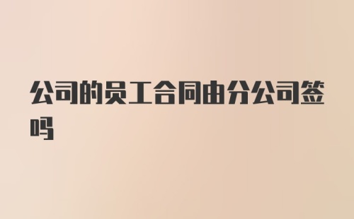 公司的员工合同由分公司签吗