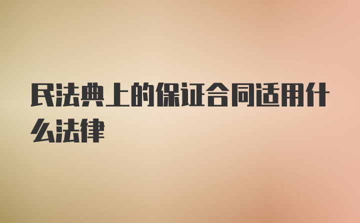 民法典上的保证合同适用什么法律