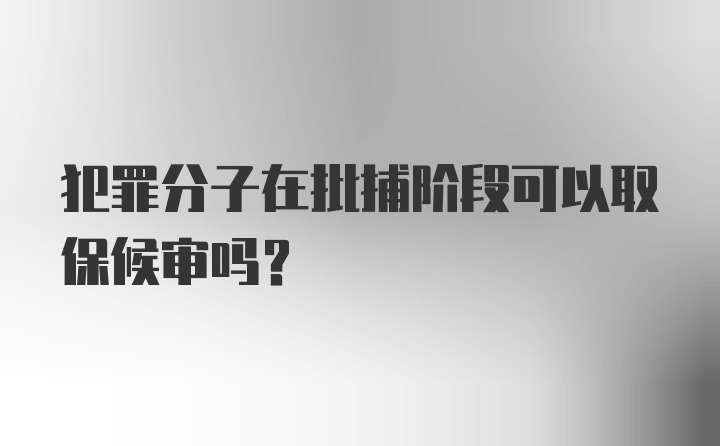 犯罪分子在批捕阶段可以取保候审吗？