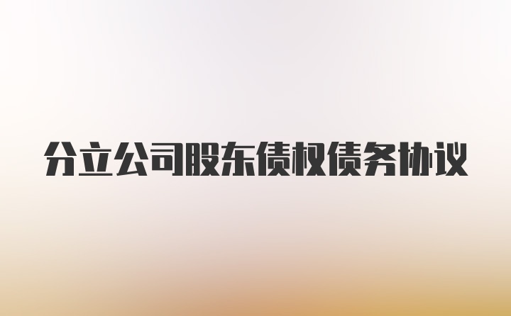 分立公司股东债权债务协议