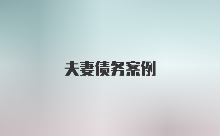 夫妻债务案例