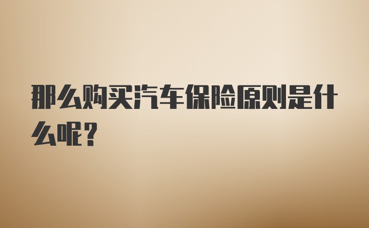 那么购买汽车保险原则是什么呢？