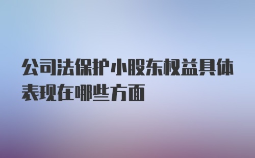 公司法保护小股东权益具体表现在哪些方面