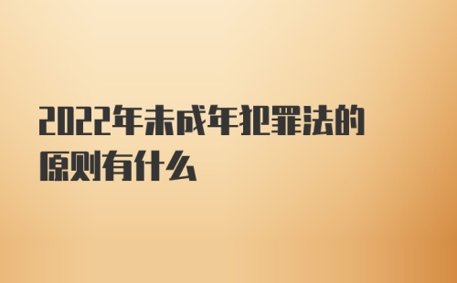 2022年未成年犯罪法的原则有什么