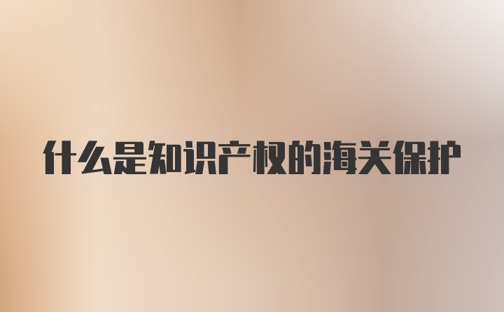 什么是知识产权的海关保护