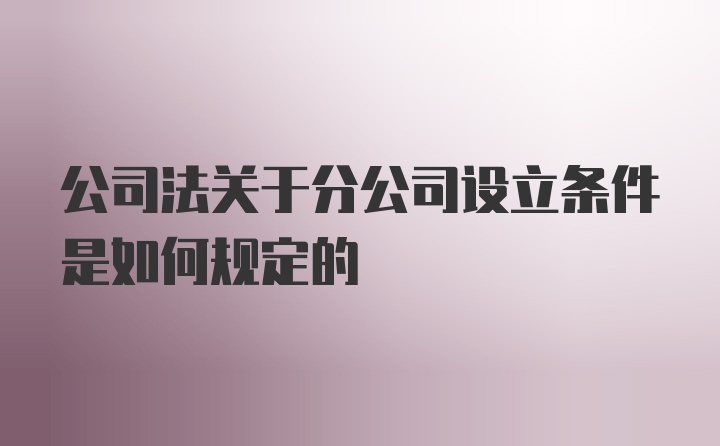 公司法关于分公司设立条件是如何规定的