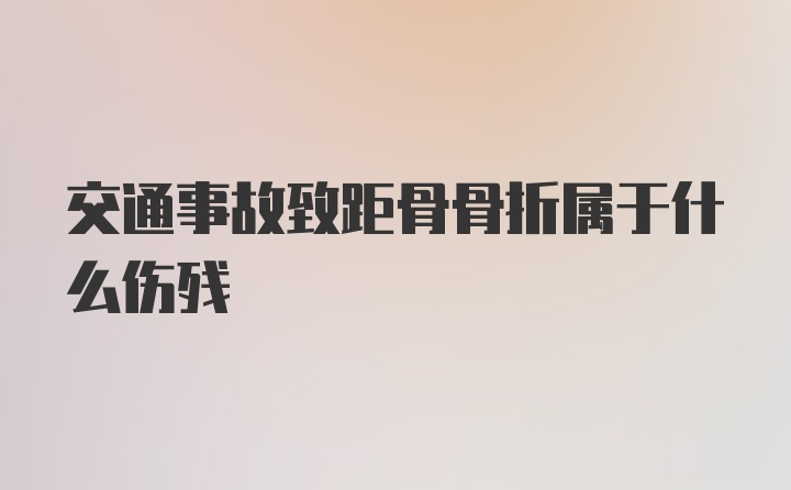 交通事故致距骨骨折属于什么伤残