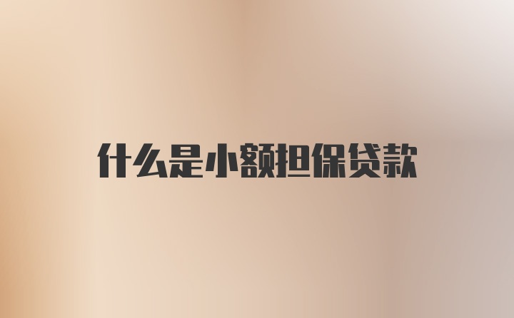 什么是小额担保贷款