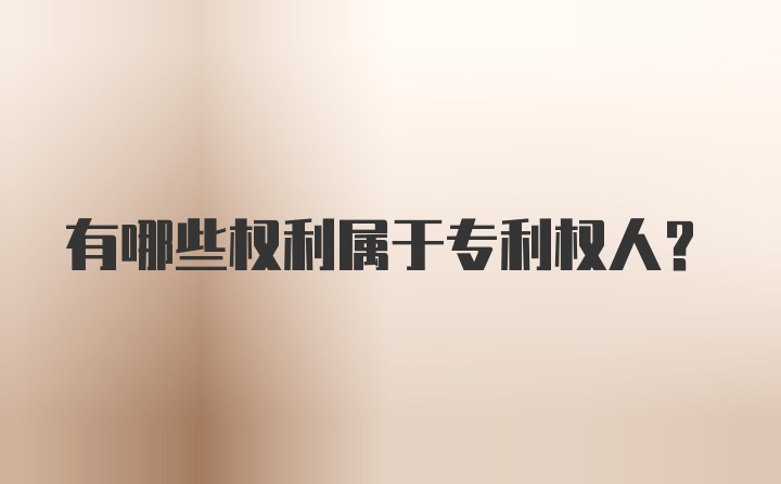 有哪些权利属于专利权人?