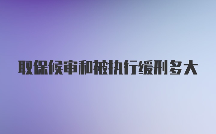 取保候审和被执行缓刑多大