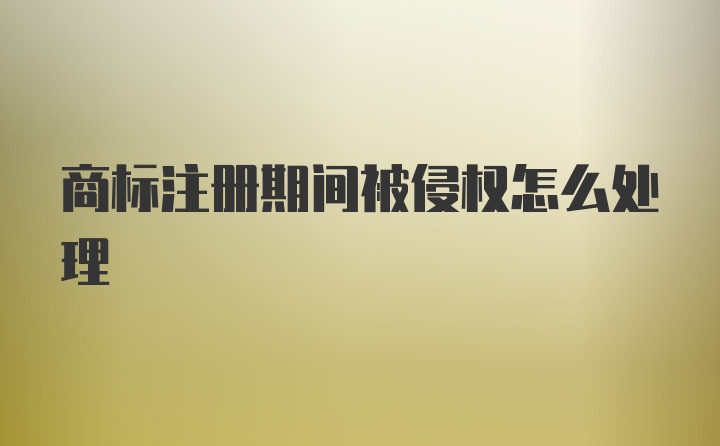 商标注册期间被侵权怎么处理
