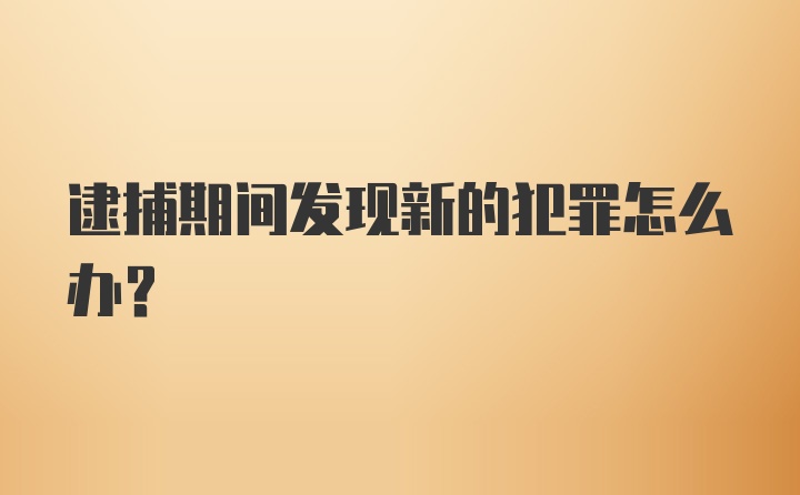 逮捕期间发现新的犯罪怎么办?