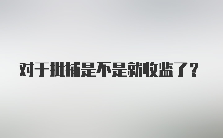 对于批捕是不是就收监了？