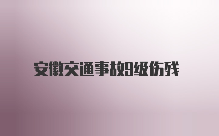 安徽交通事故9级伤残