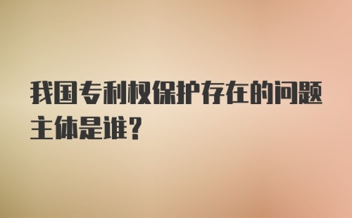 我国专利权保护存在的问题主体是谁？