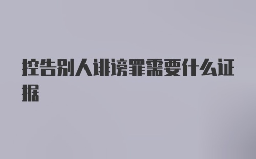 控告别人诽谤罪需要什么证据