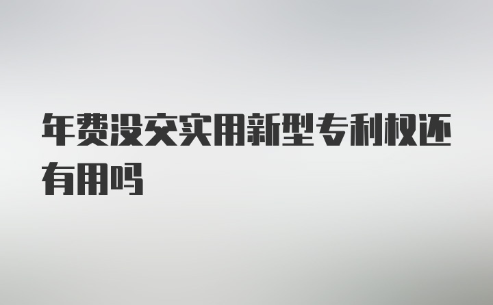 年费没交实用新型专利权还有用吗