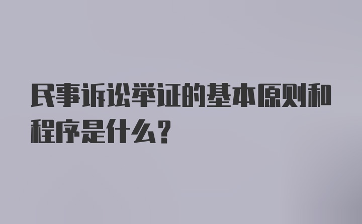 民事诉讼举证的基本原则和程序是什么？