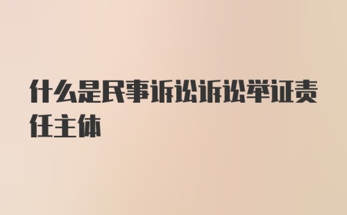 什么是民事诉讼诉讼举证责任主体