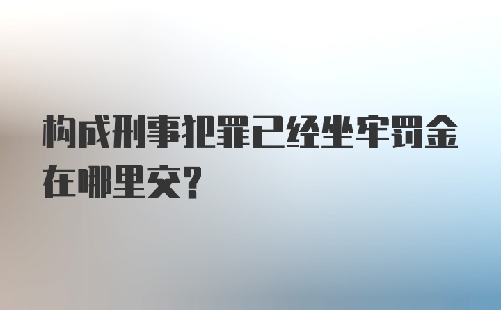 构成刑事犯罪已经坐牢罚金在哪里交？