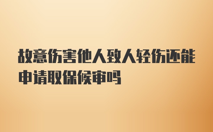 故意伤害他人致人轻伤还能申请取保候审吗