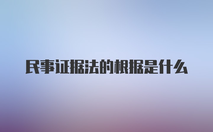 民事证据法的根据是什么