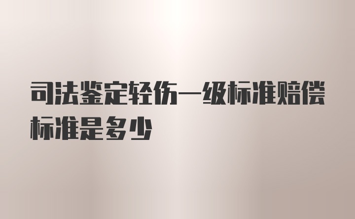 司法鉴定轻伤一级标准赔偿标准是多少