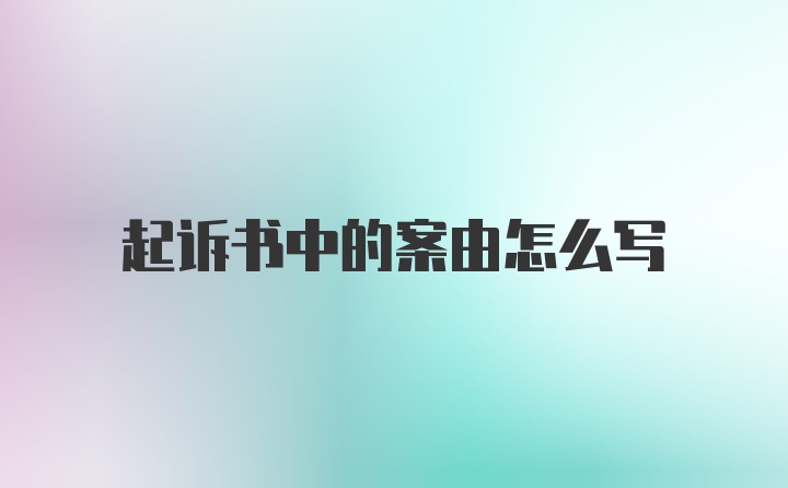 起诉书中的案由怎么写