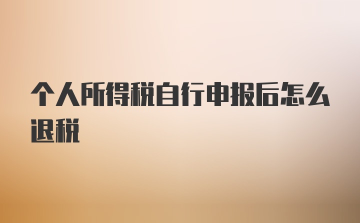 个人所得税自行申报后怎么退税