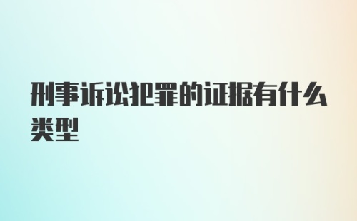 刑事诉讼犯罪的证据有什么类型