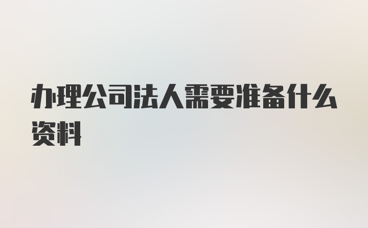 办理公司法人需要准备什么资料