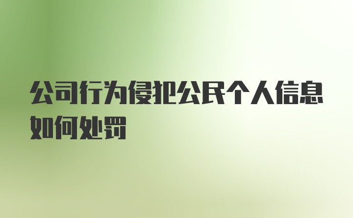 公司行为侵犯公民个人信息如何处罚