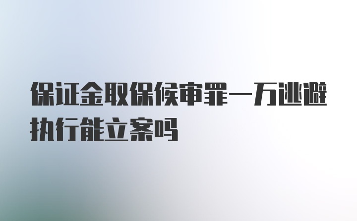 保证金取保候审罪一万逃避执行能立案吗