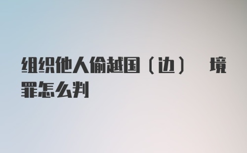 组织他人偷越国(边) 境罪怎么判