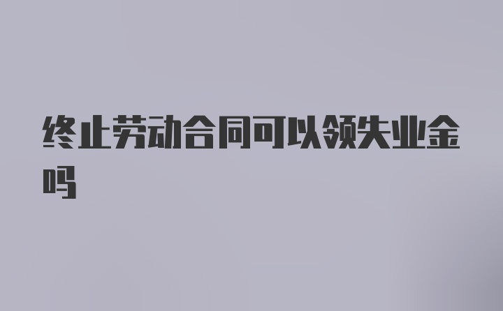 终止劳动合同可以领失业金吗