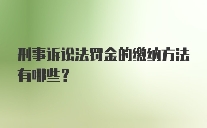 刑事诉讼法罚金的缴纳方法有哪些？