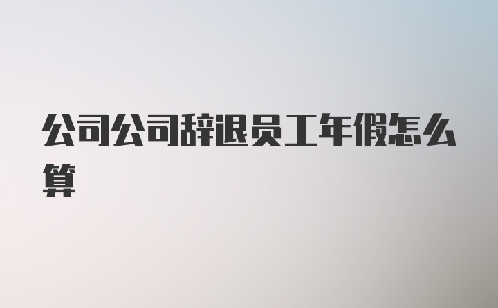 公司公司辞退员工年假怎么算