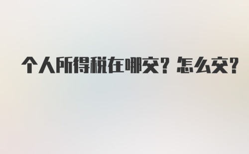 个人所得税在哪交？怎么交？