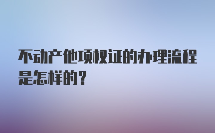 不动产他项权证的办理流程是怎样的？