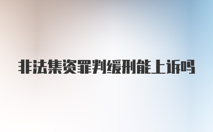 非法集资罪判缓刑能上诉吗