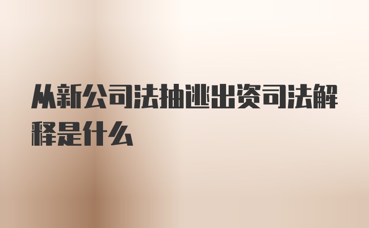 从新公司法抽逃出资司法解释是什么