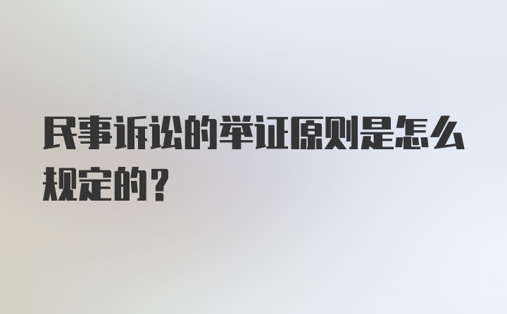 民事诉讼的举证原则是怎么规定的?