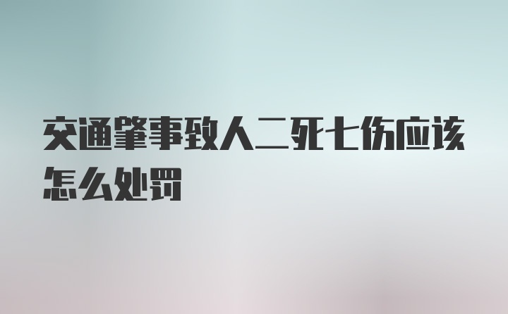 交通肇事致人二死七伤应该怎么处罚